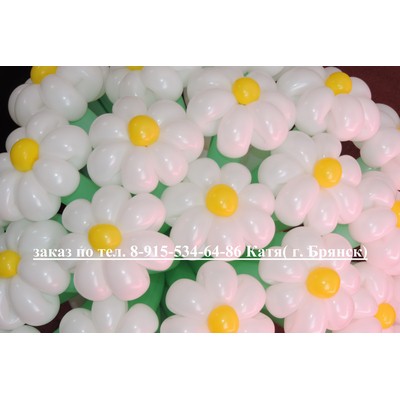 2/kompasition455