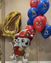 шары-патруль-брянск4